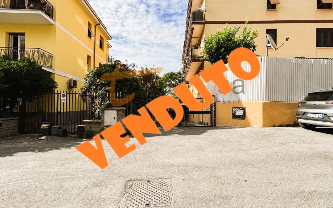 TOR VERGATA TORRENOVA BOX AUTO